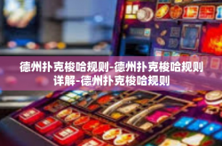 德州扑克梭哈规则-德州扑克梭哈规则详解-德州扑克梭哈规则